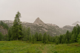 tim bauer